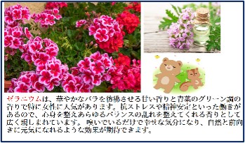 R8-KyozaiBlg-Aroma-3.jpg