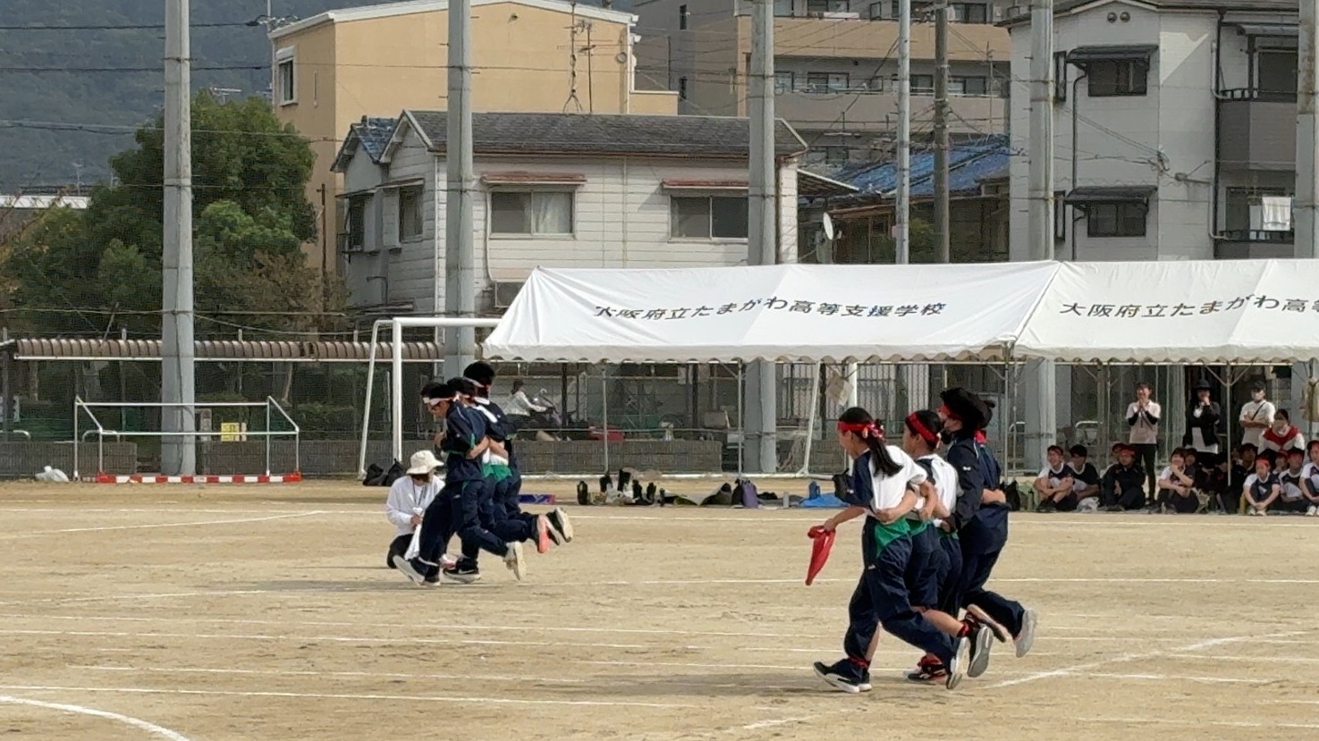 2.JPG