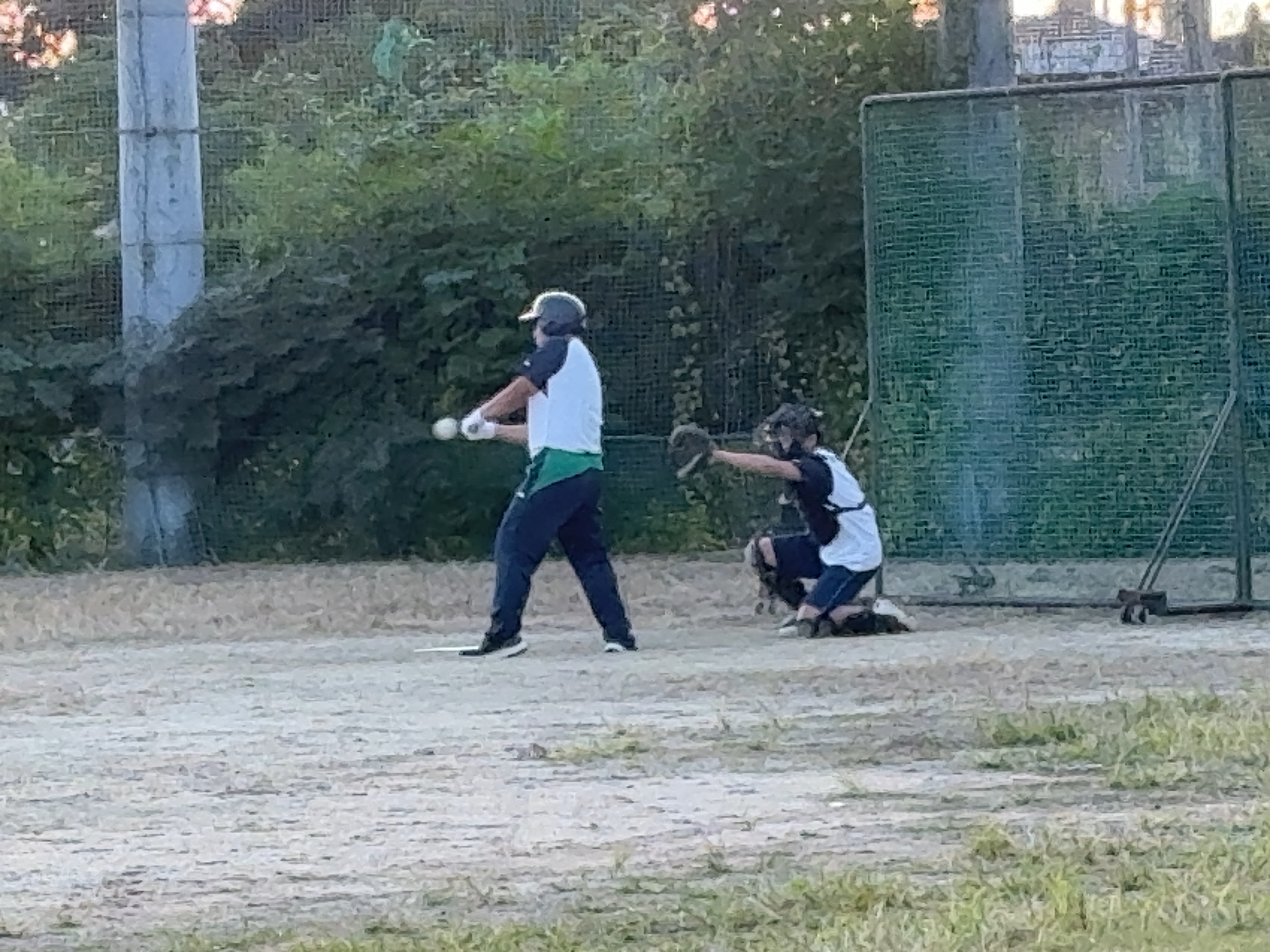 IMG_2968.jpeg