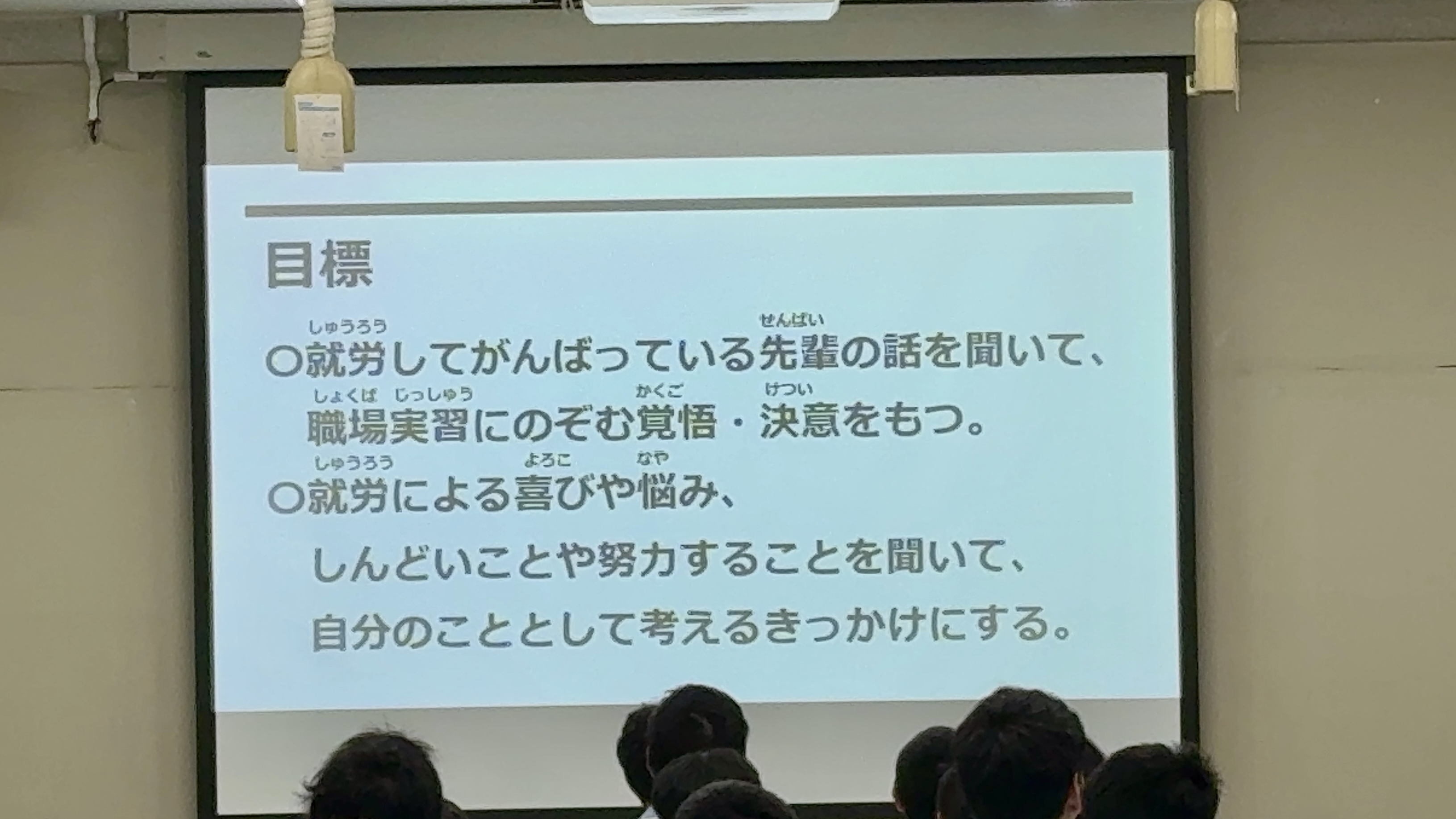 IMG_2938.jpeg