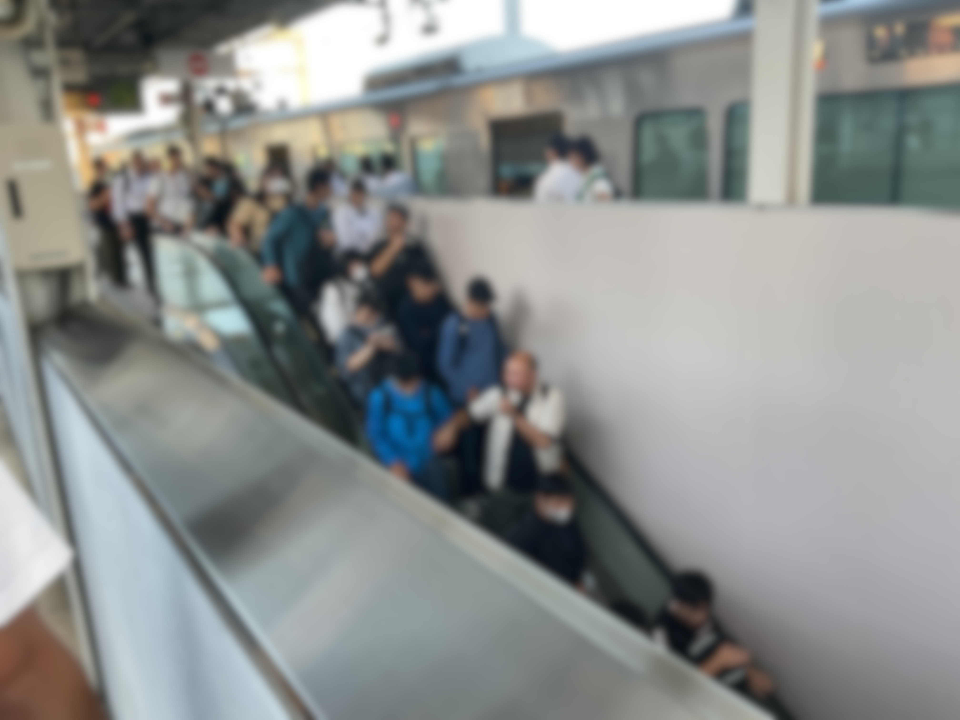 IMG_4843.jpeg