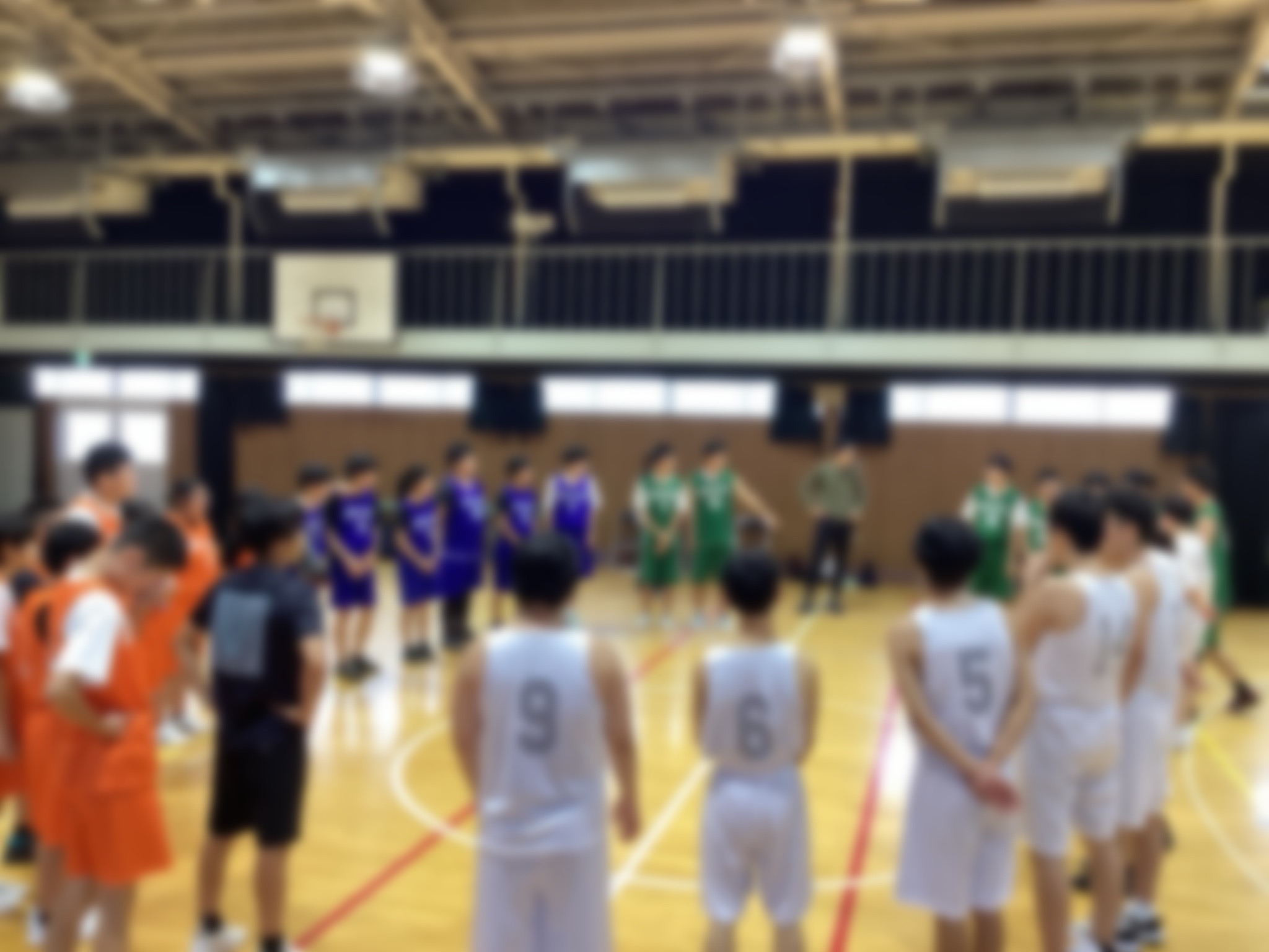 IMG_6915.jpeg