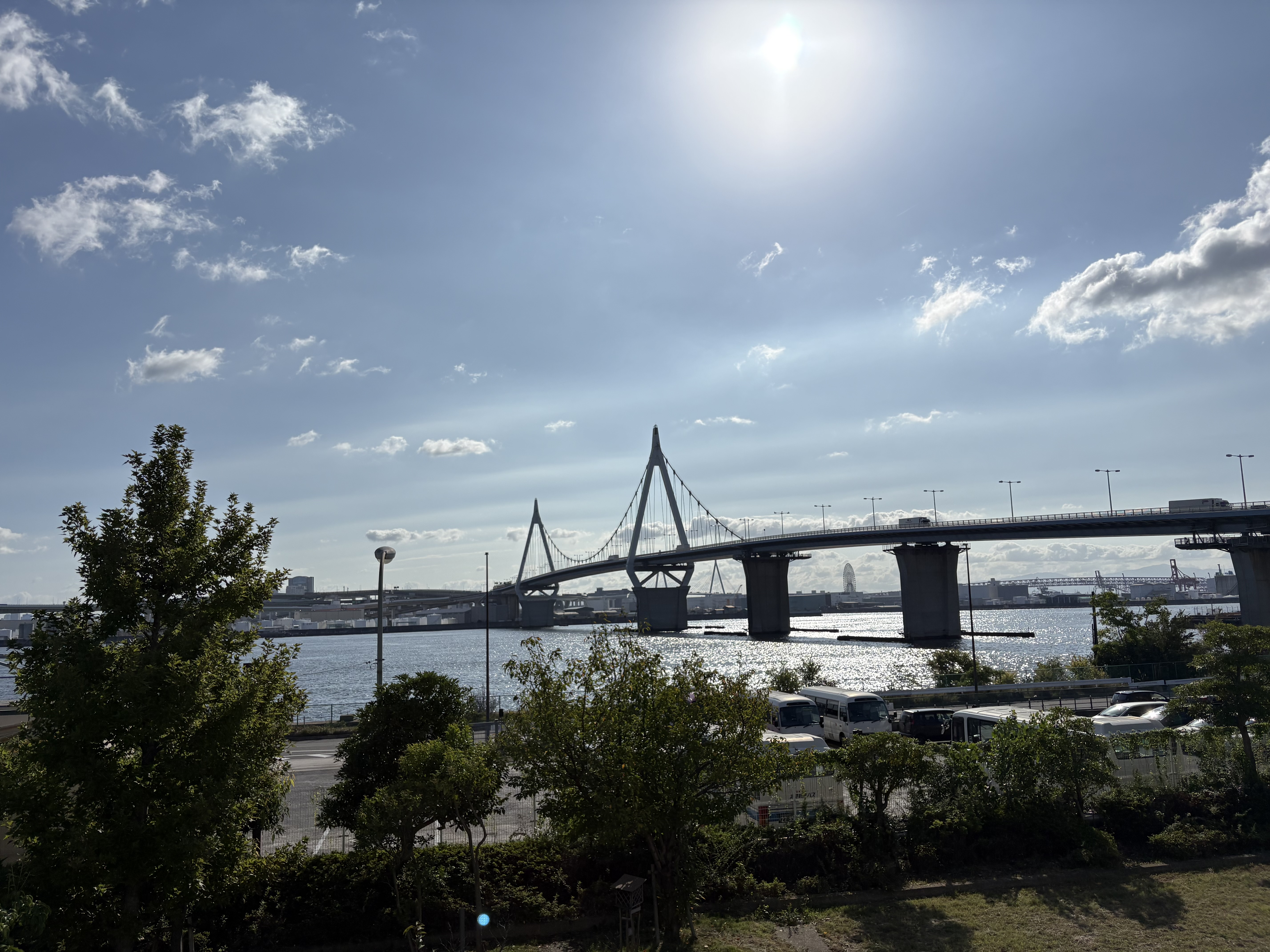 IMG_6549.jpeg