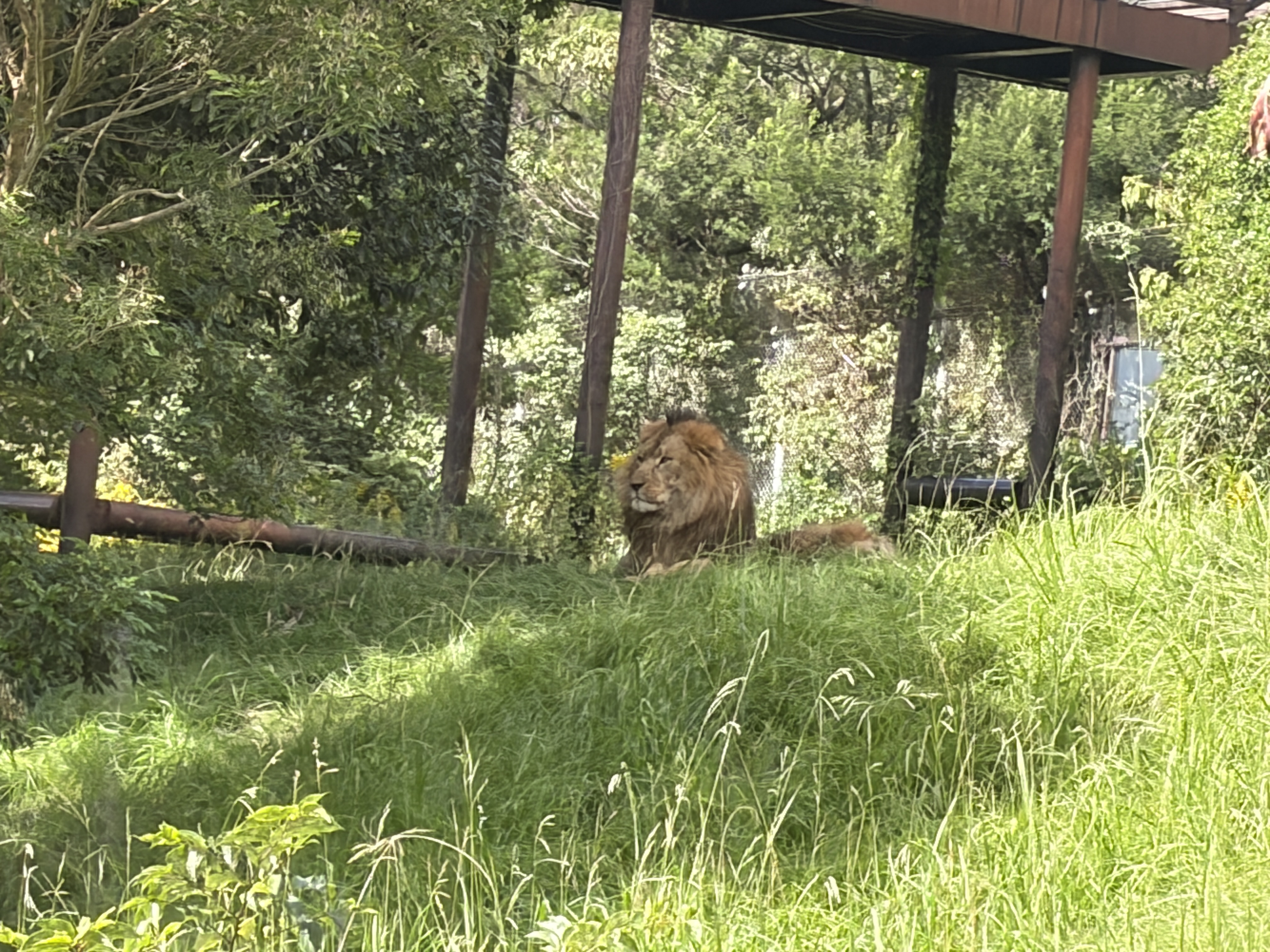 IMG_9453.jpeg