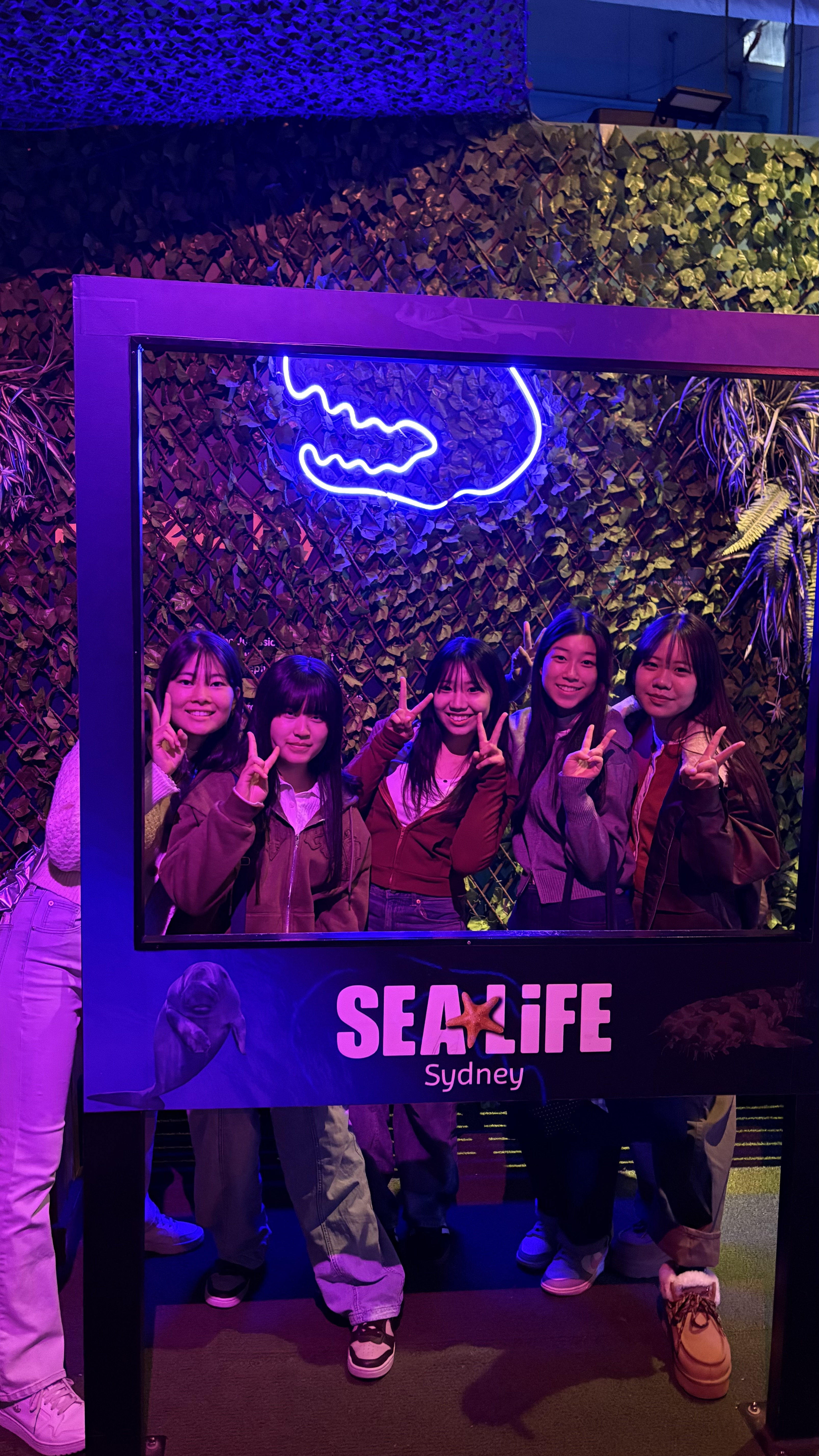 IMG_4347.jpeg