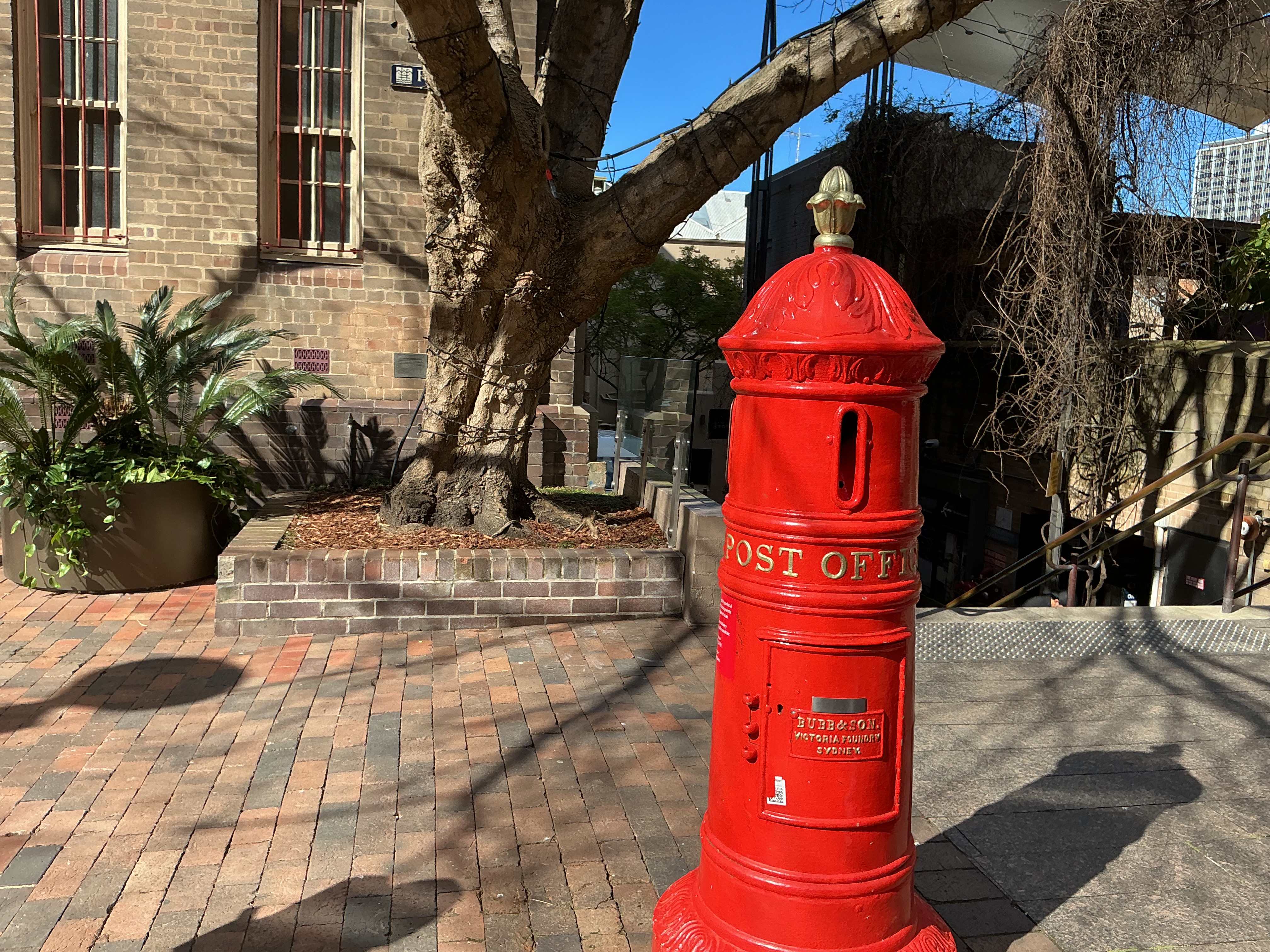 IMG_0456.jpeg