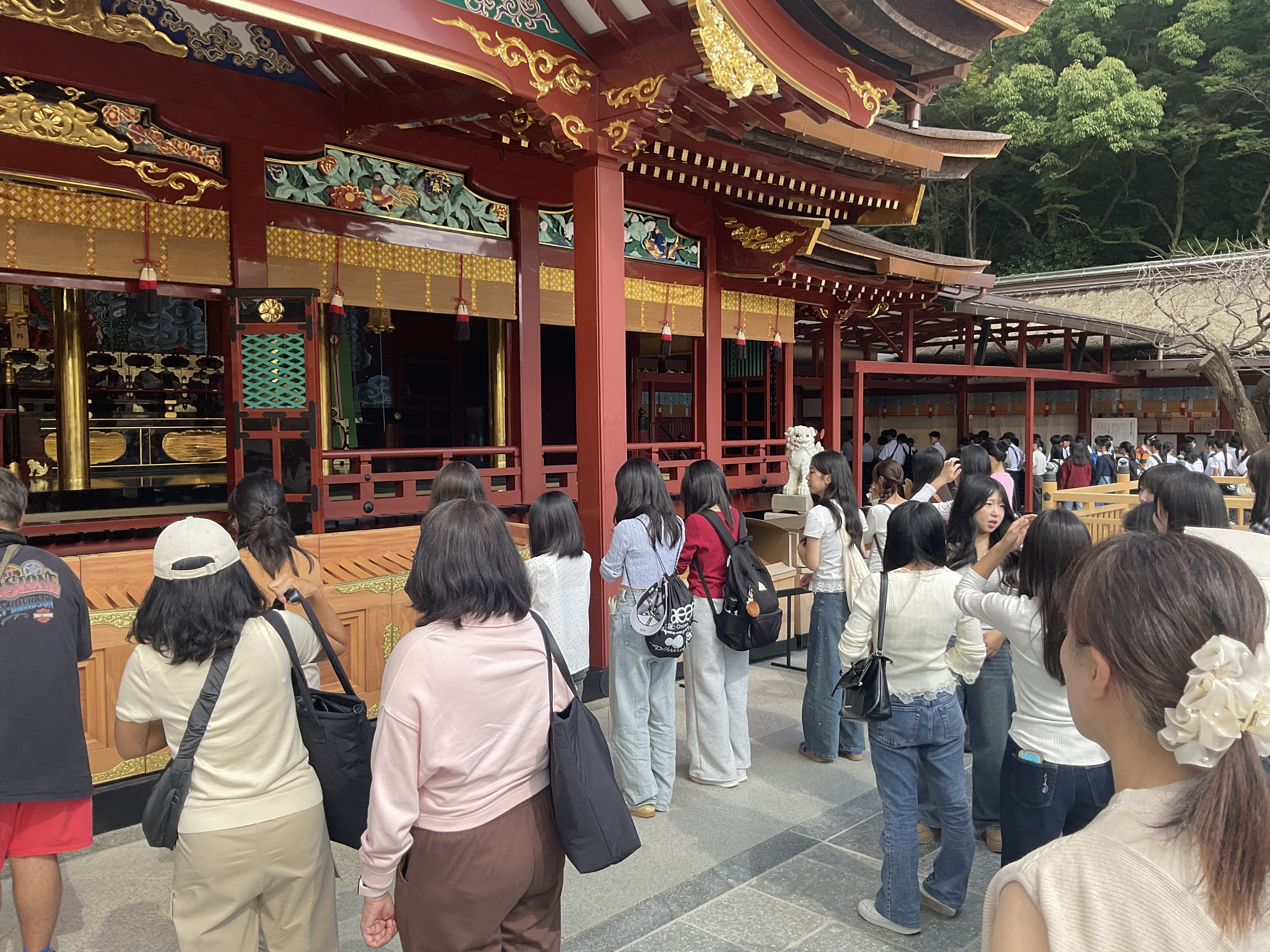 IMG_4219.jpeg