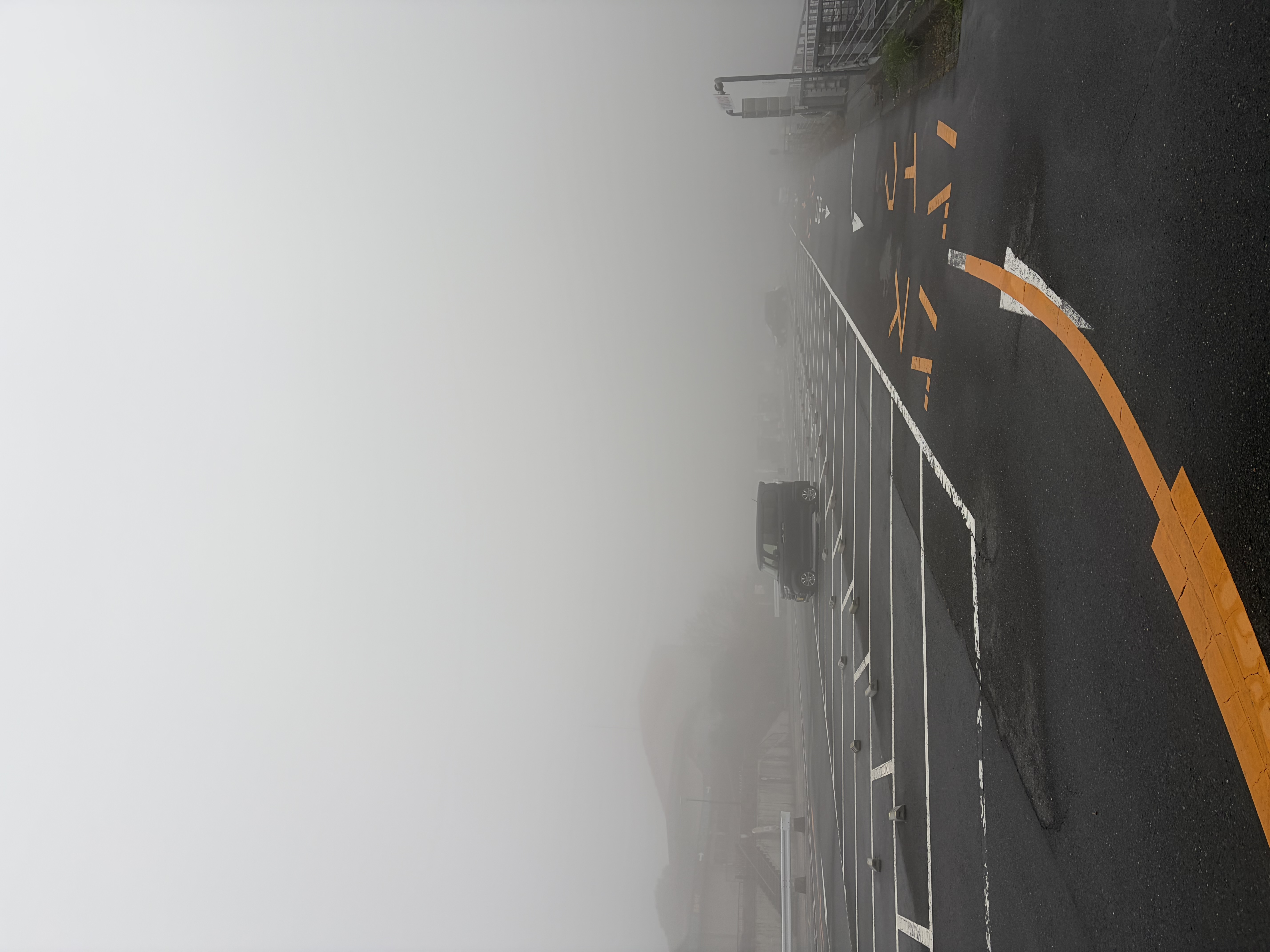 IMG_6575.jpeg