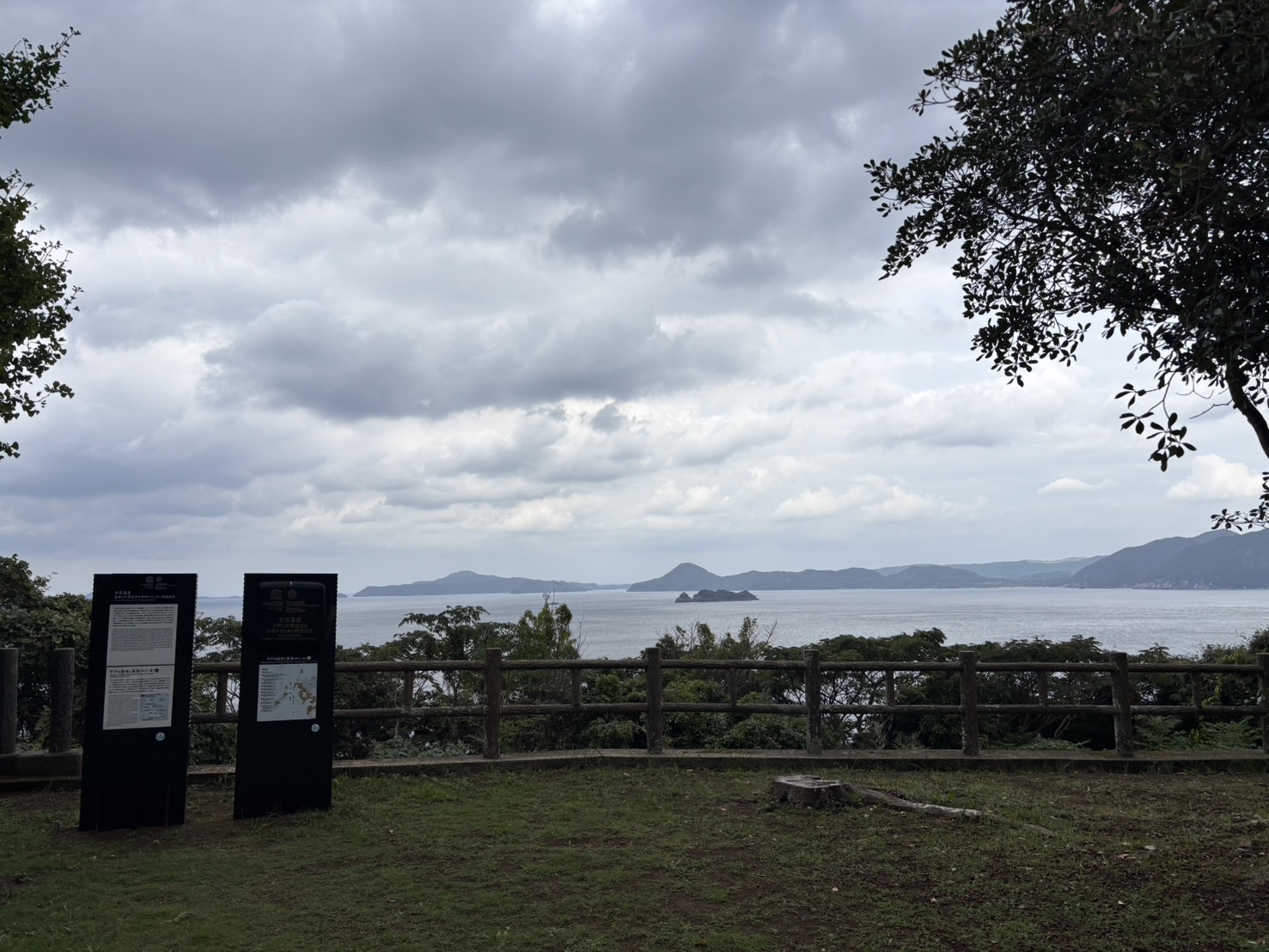IMG_4456.jpeg