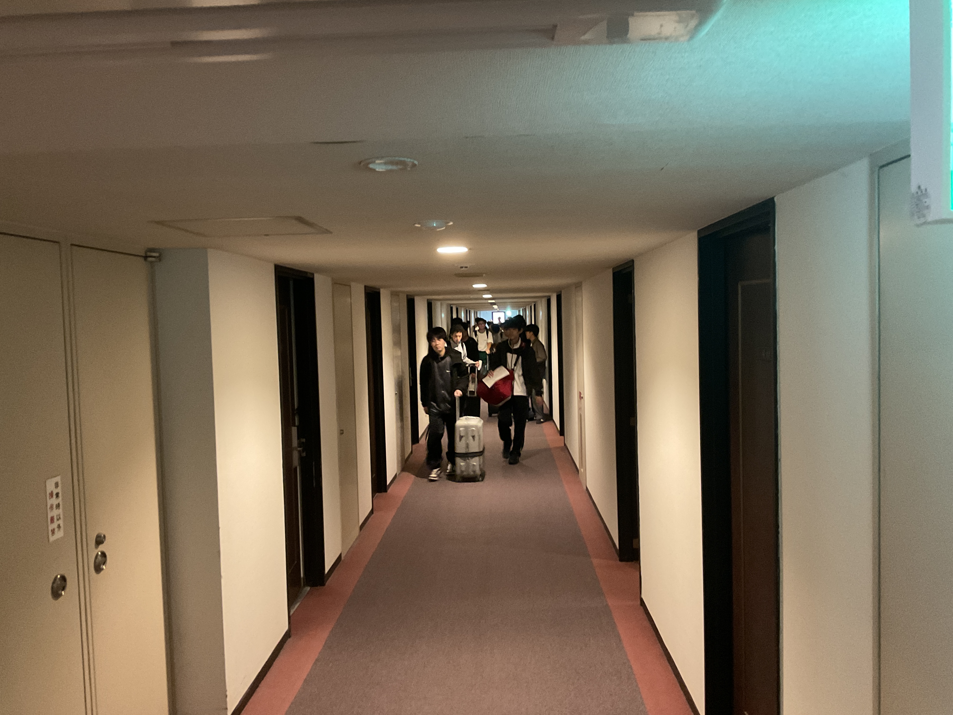IMG_4311.jpeg