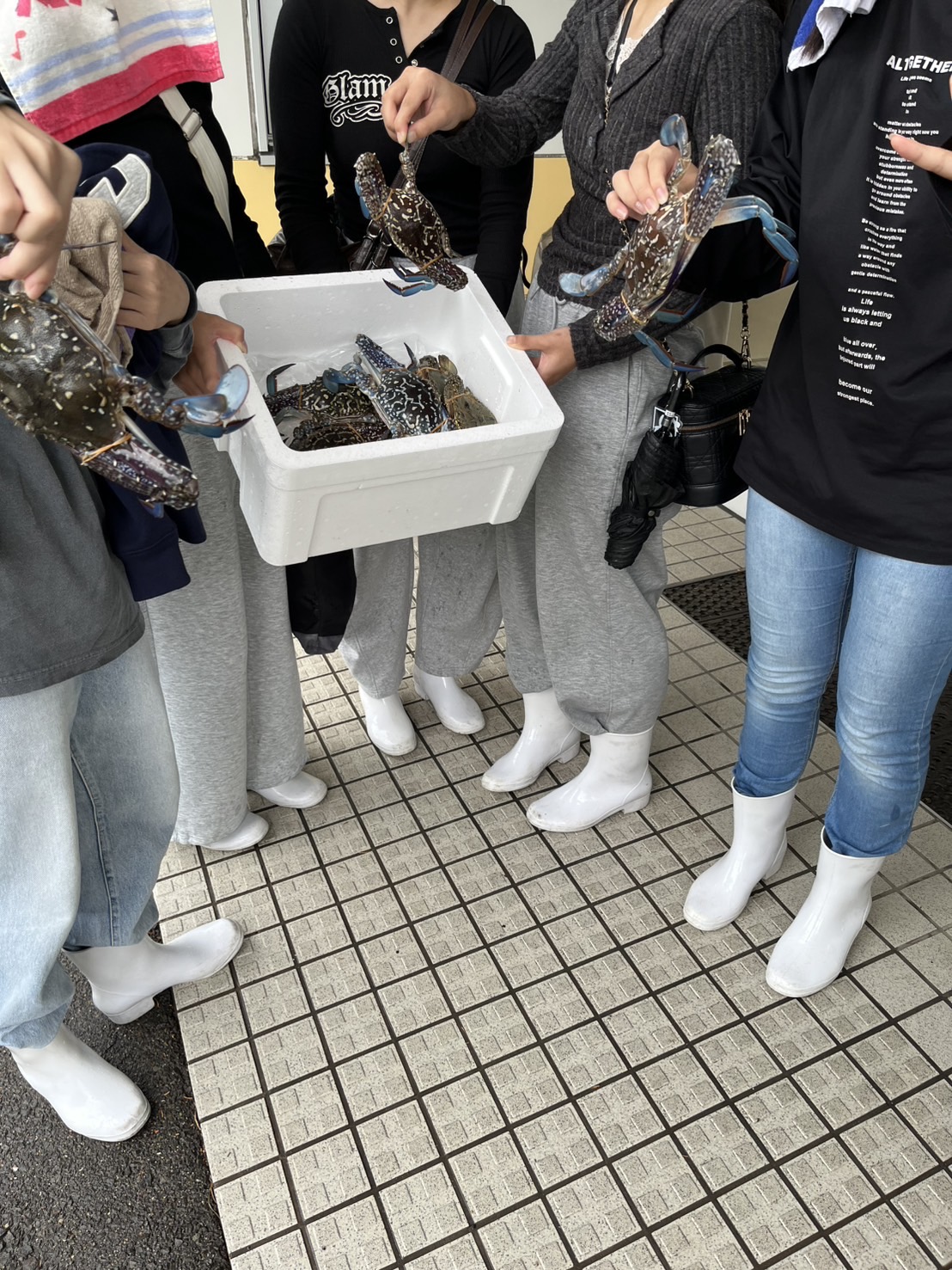 IMG_4396.jpeg