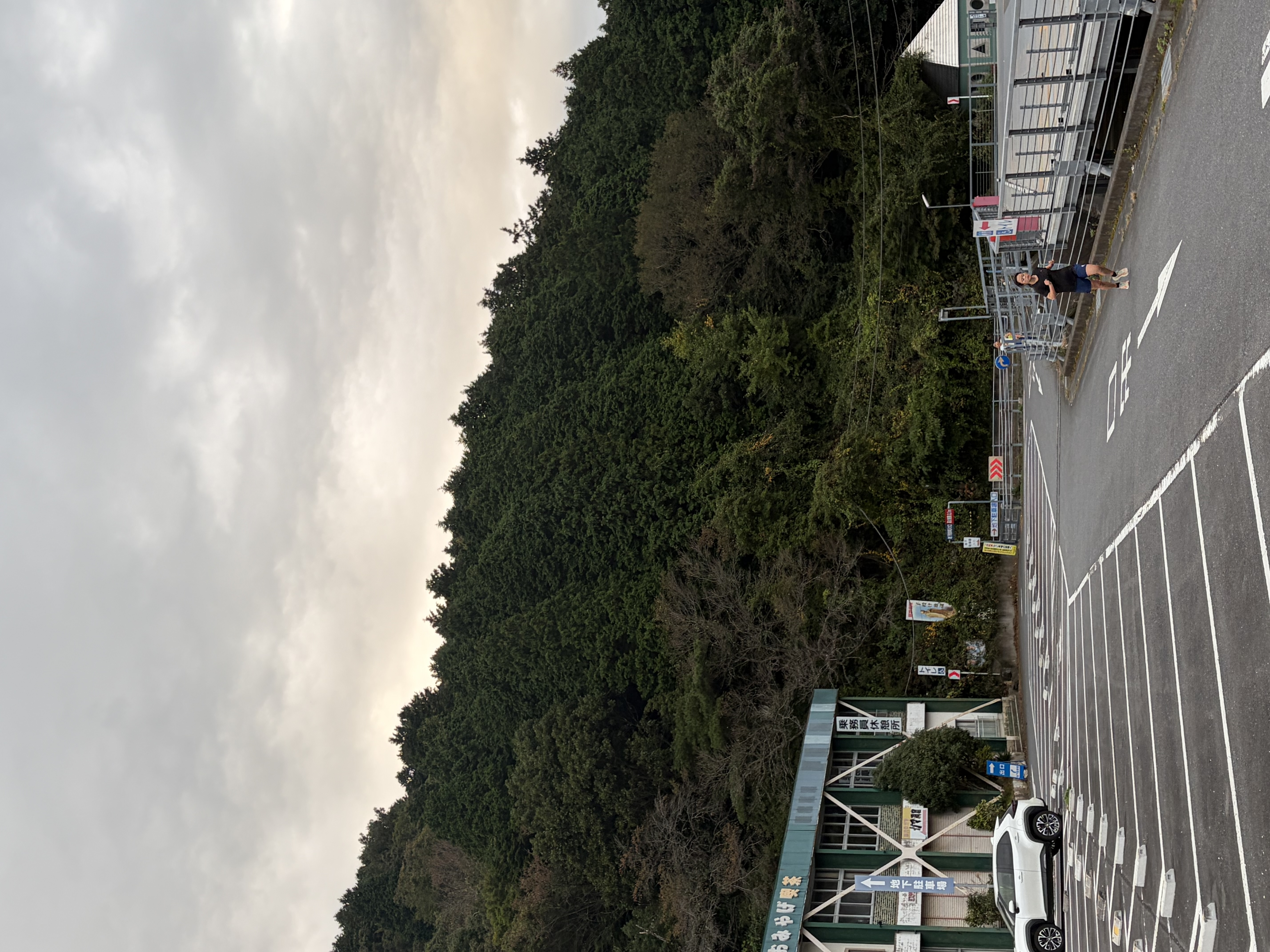 IMG_6631.jpeg