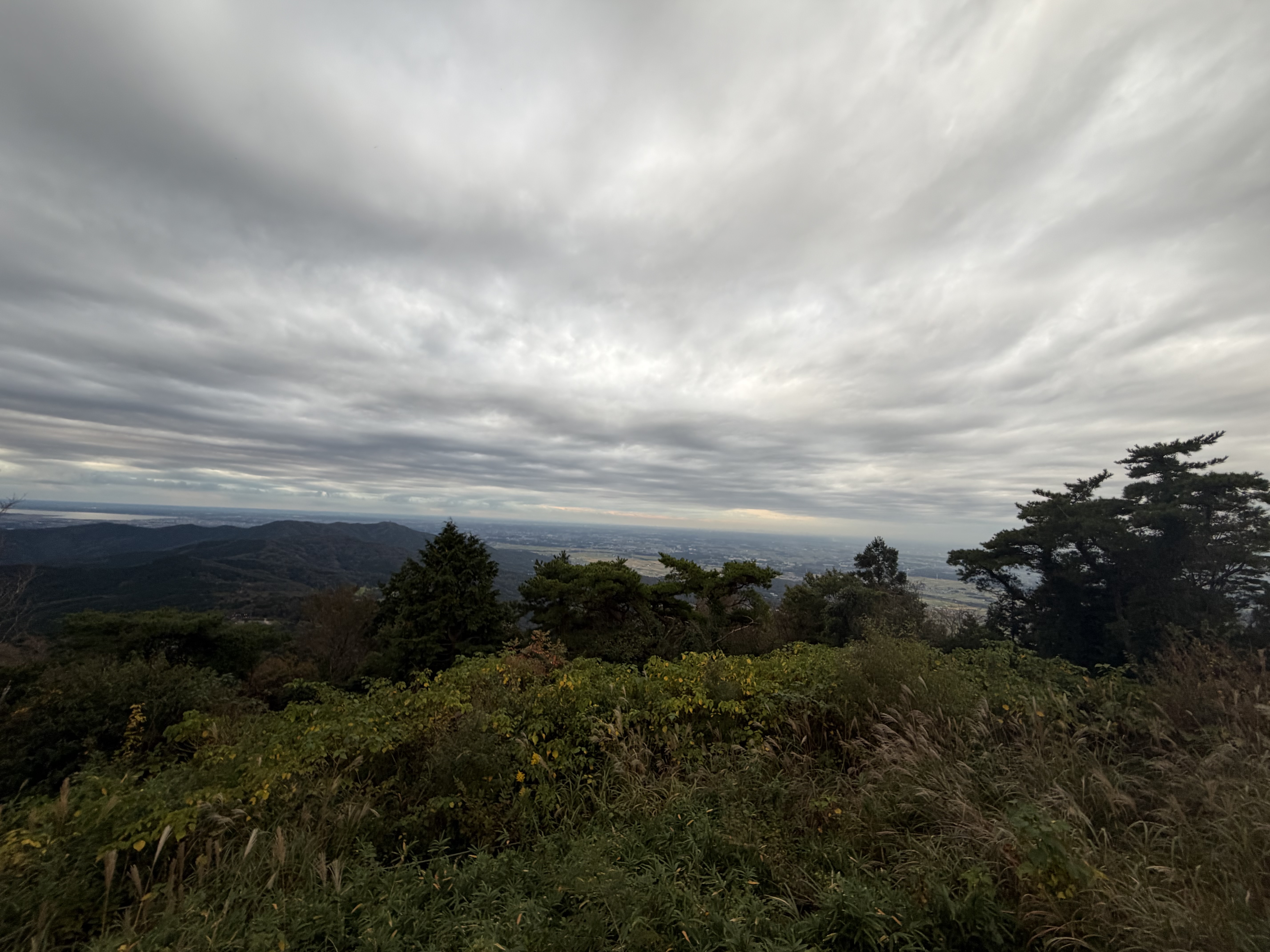 IMG_6627.jpeg