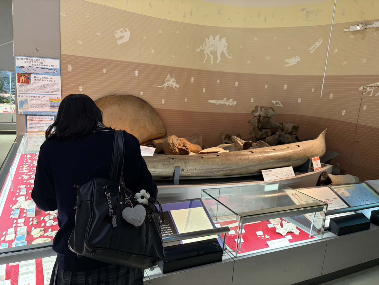 1015_理数科1年生 自然史博物館見学②.jpeg