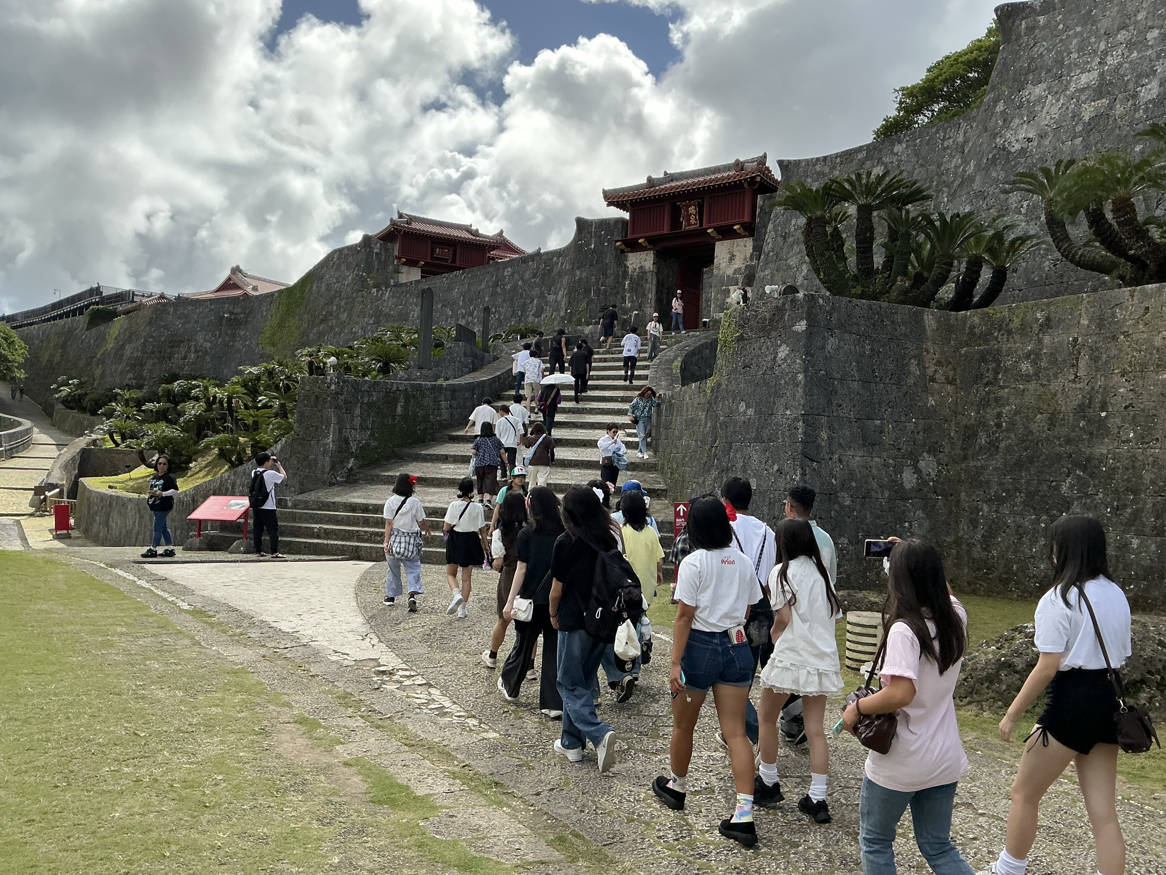IMG_1469.jpeg