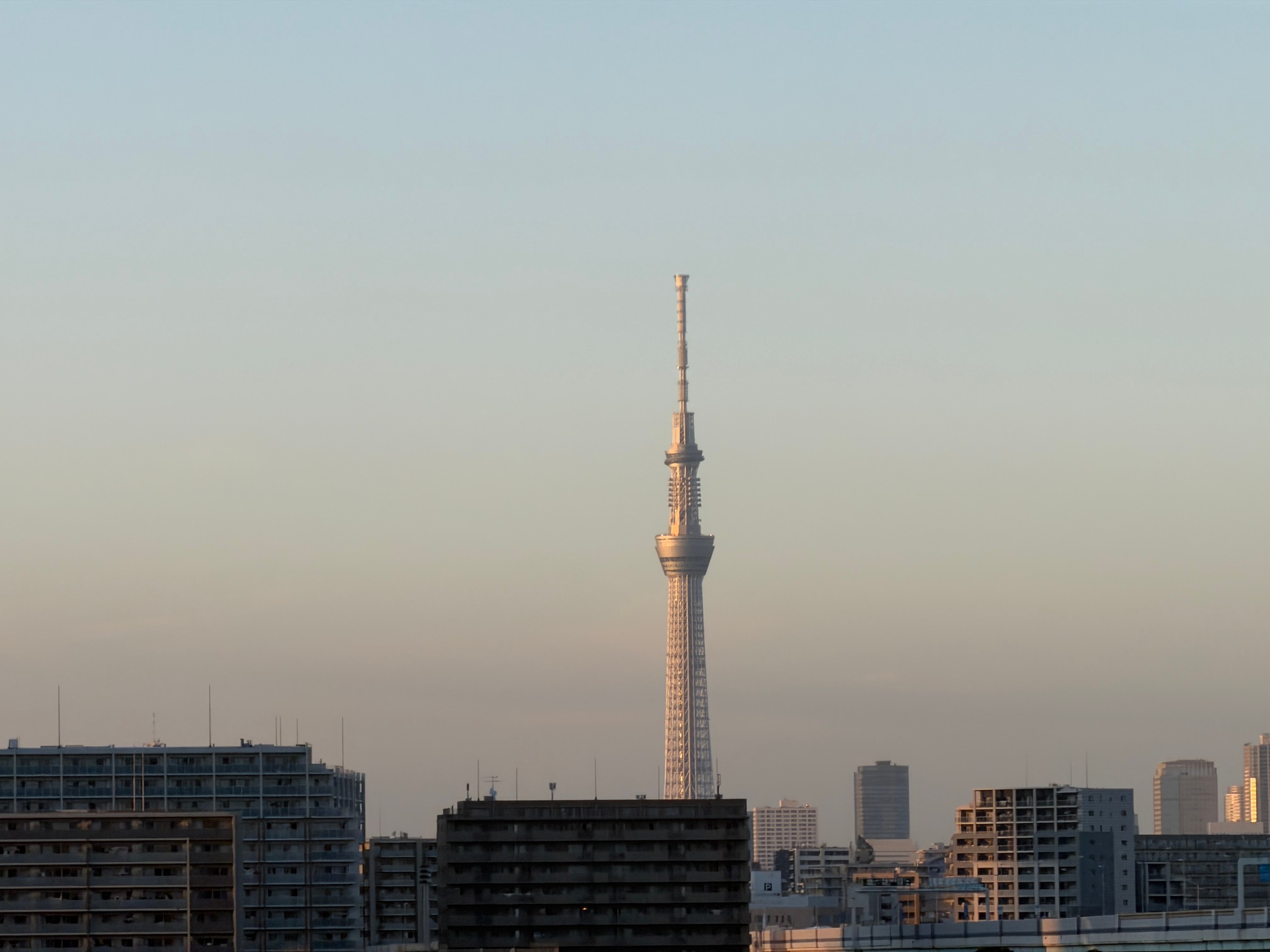スカイツリー.jpg