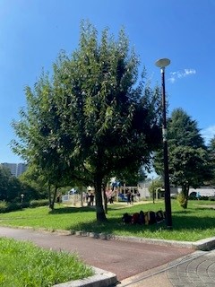 2日目②ー２.jpg