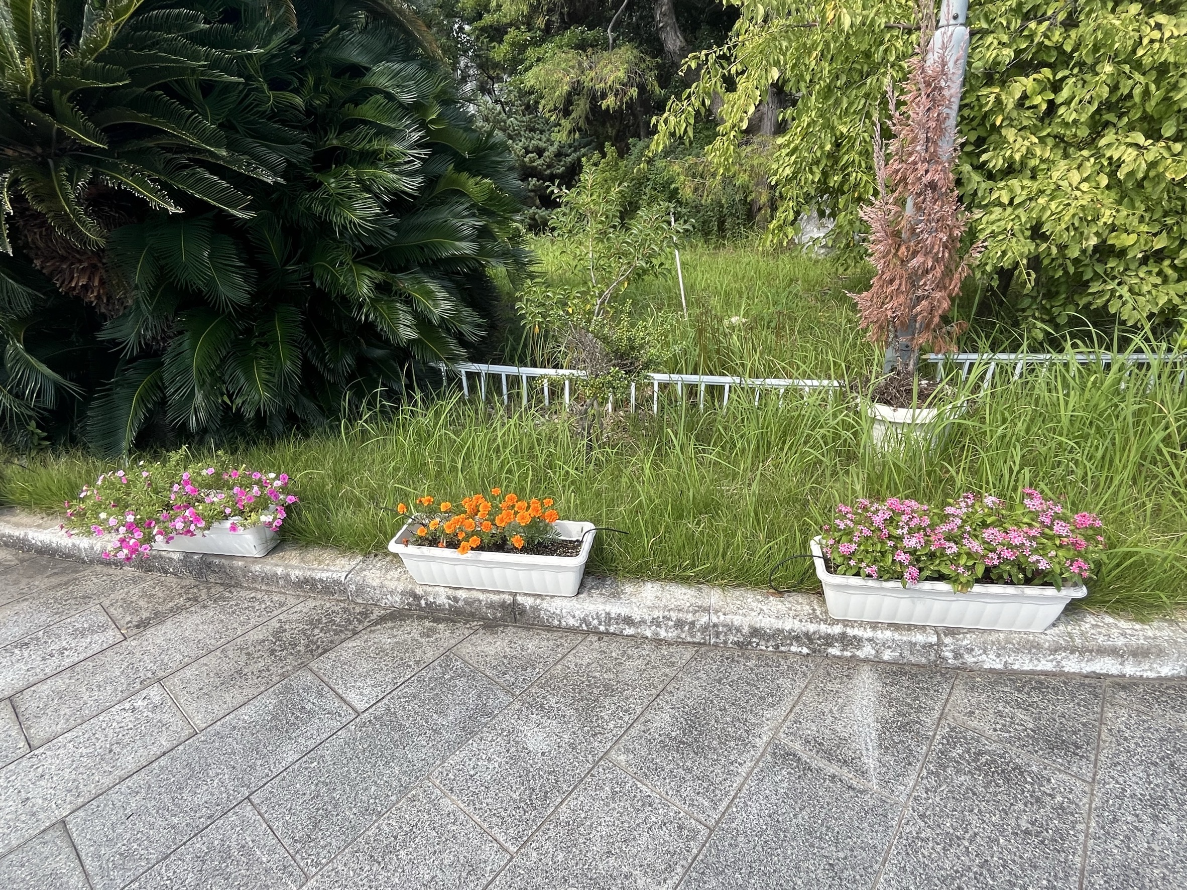 IMG_7860 (1).jpeg
