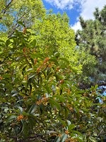 IMG_2026-10-07-133601.jpg