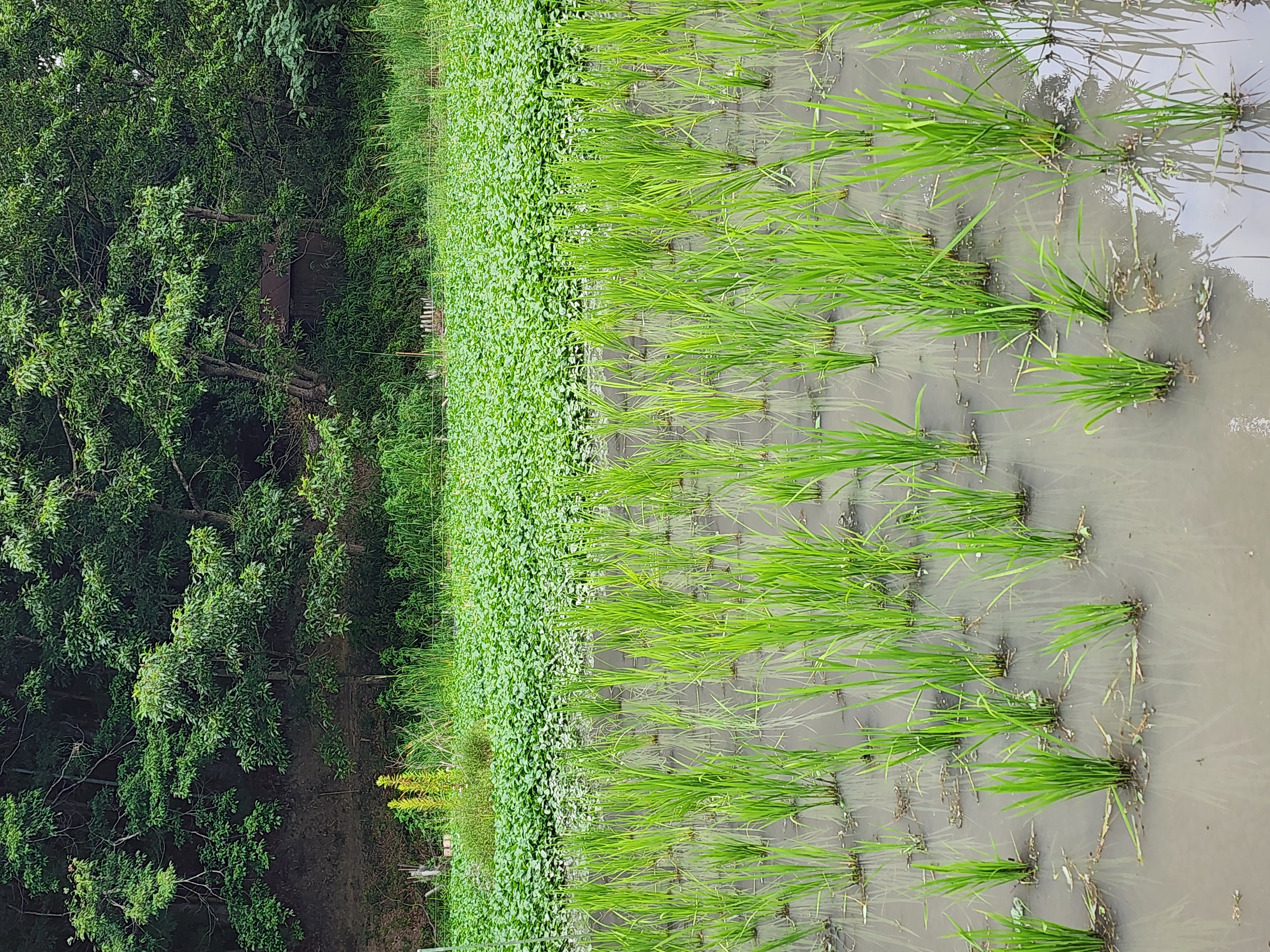 1790738010940.jpg