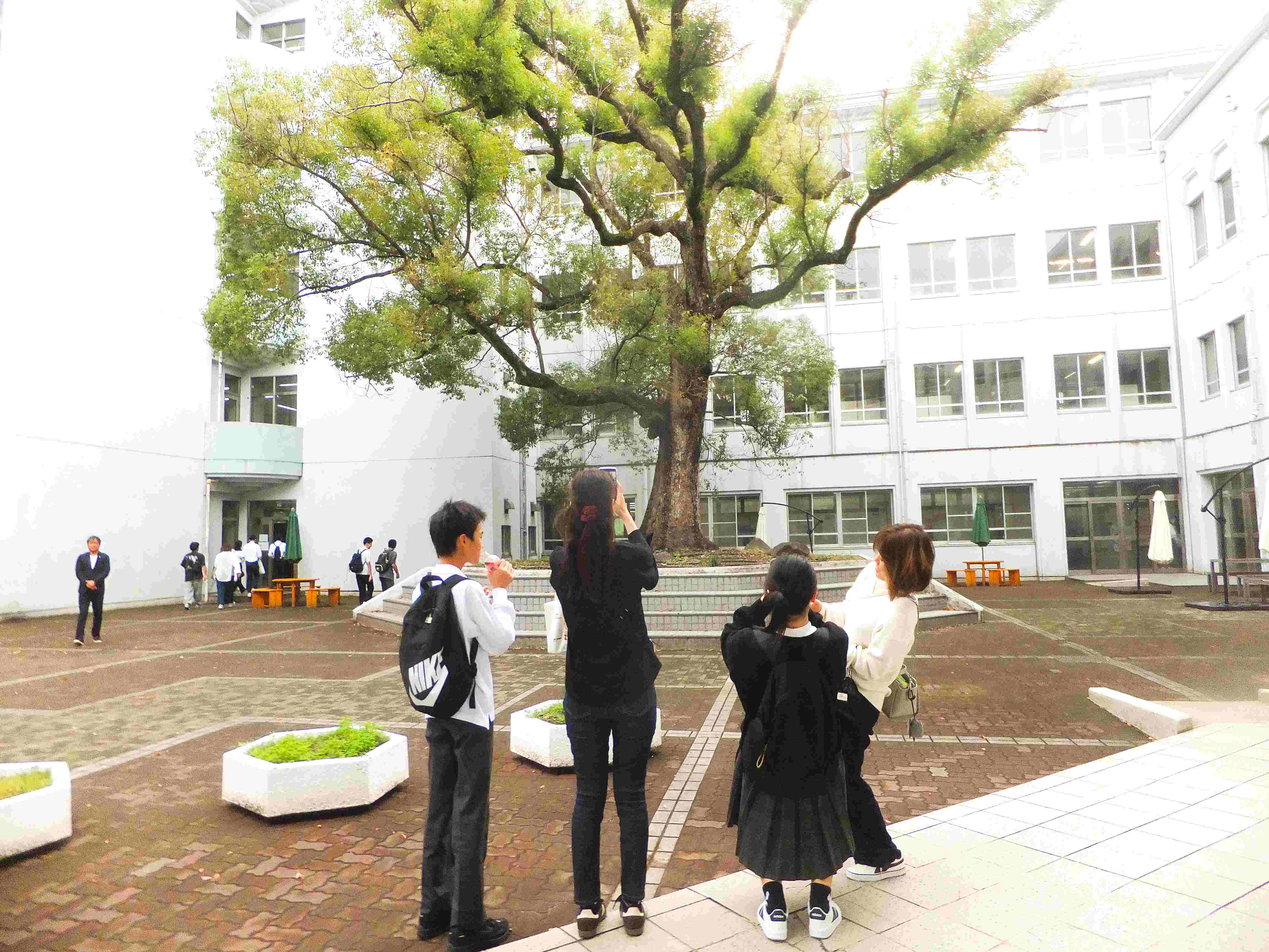DSCF8159_1.JPG