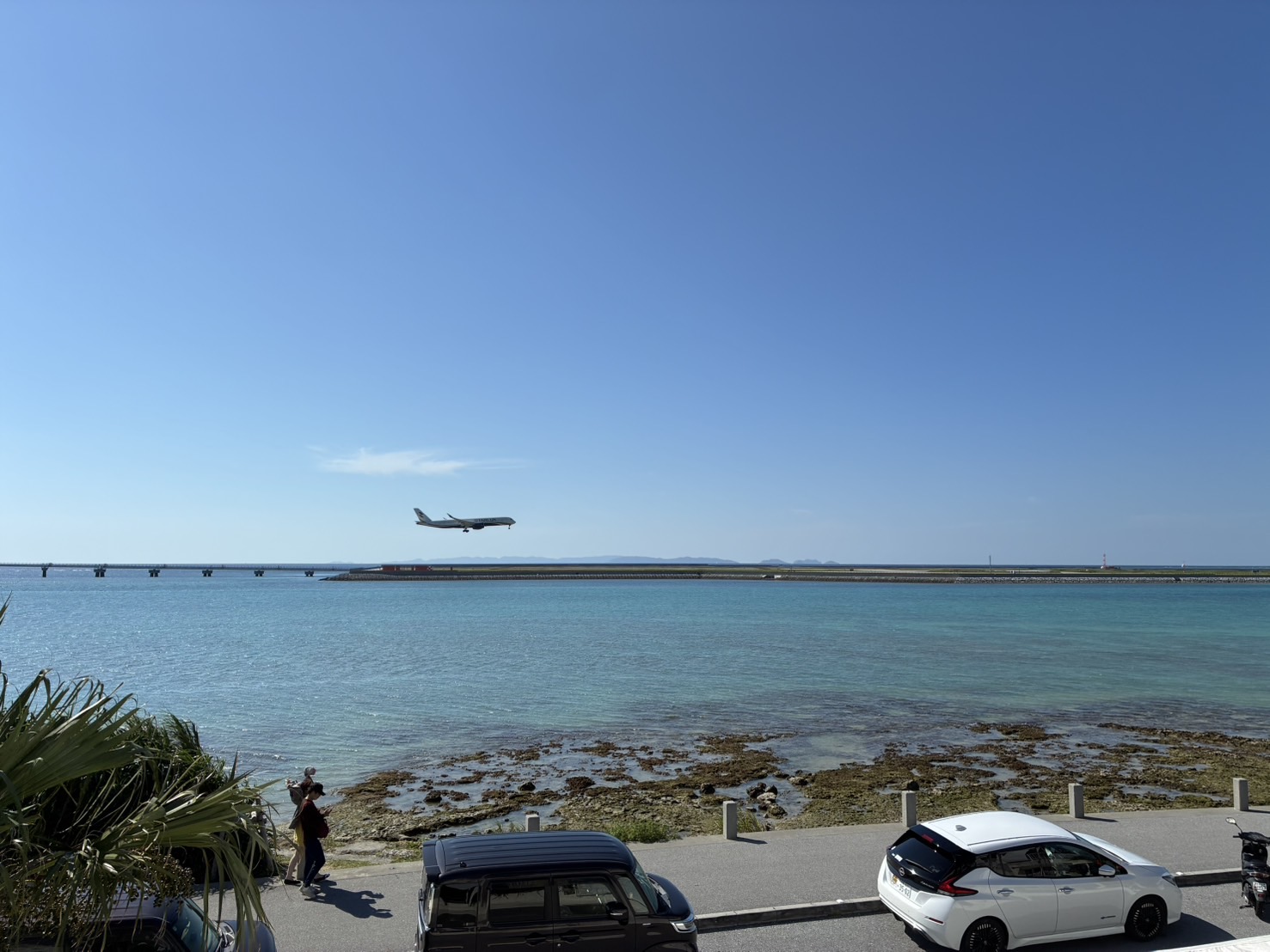 IMG_4482.jpeg