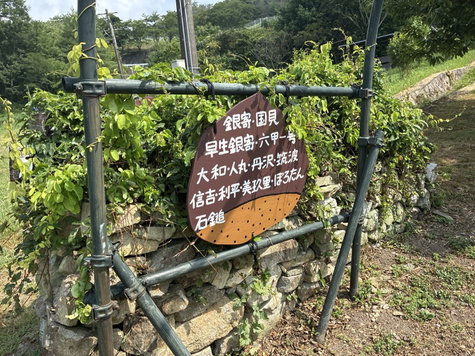 スライド6.JPG