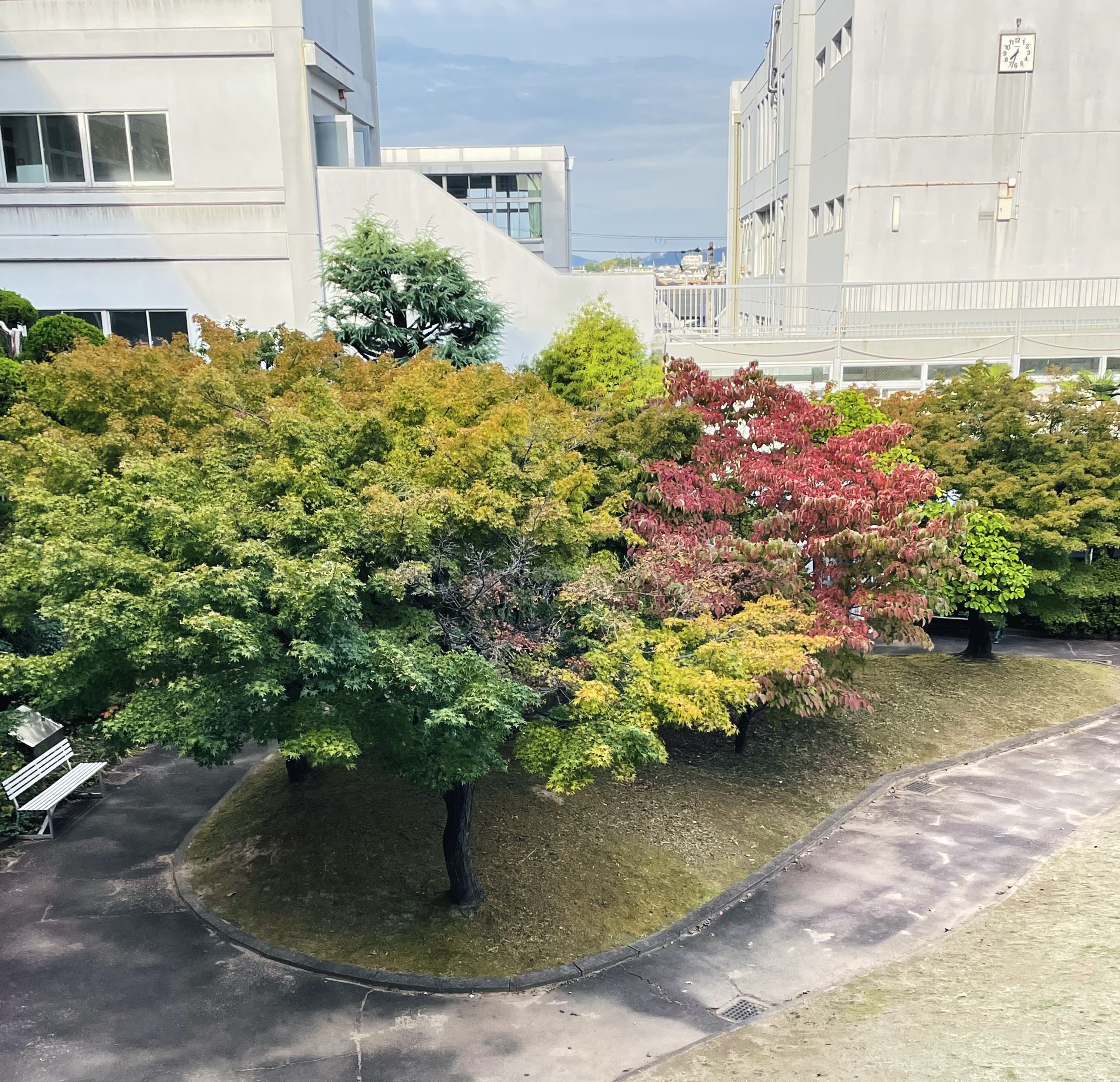 IMG_3497.jpeg