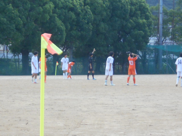 DSCN6049.JPG