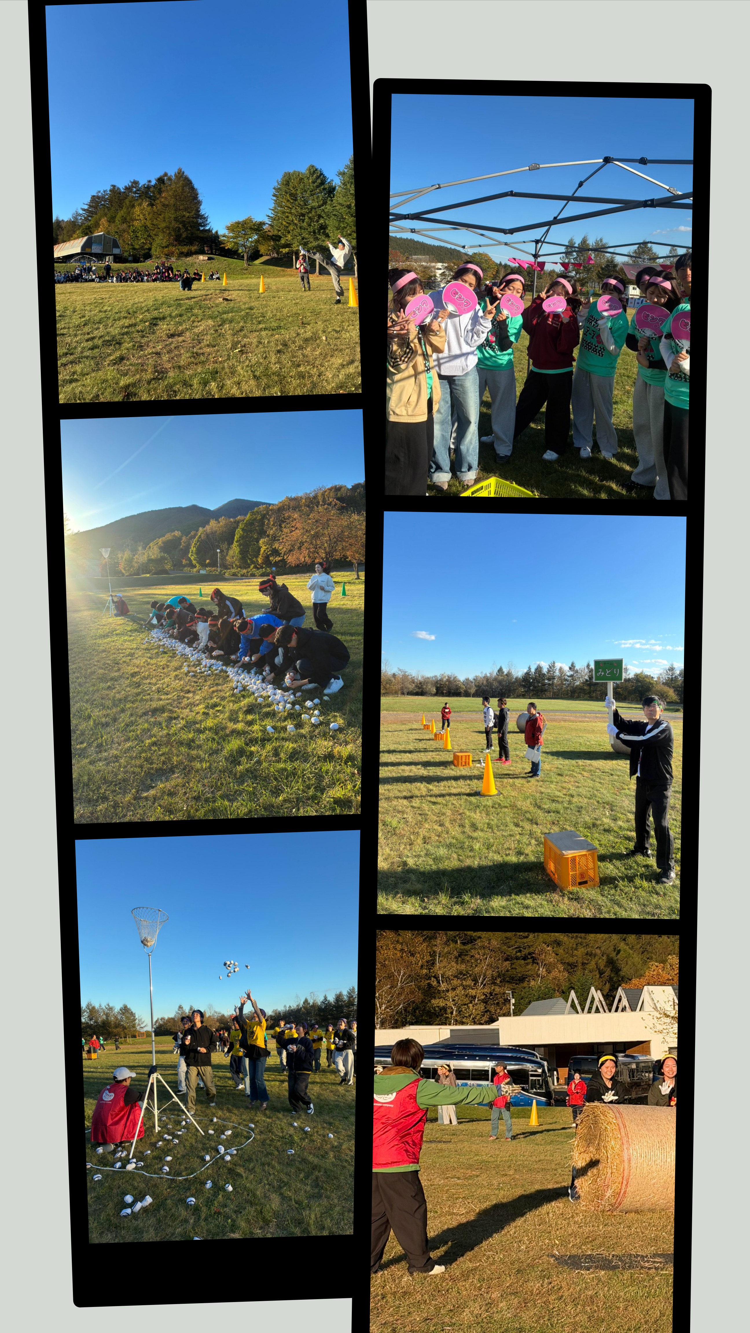 bccc5ef4-4fb4-46bf-9a47-de7cd64e9d79-1_all_7378.jpg
