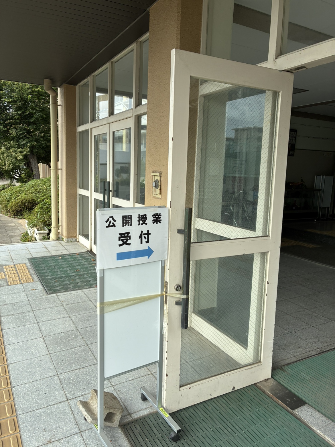 IMG_0787.jpeg