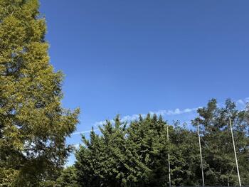 1758243714780.jpg