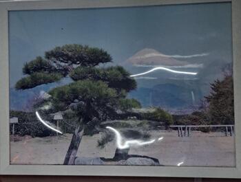 IMG_6736 (2).jpeg