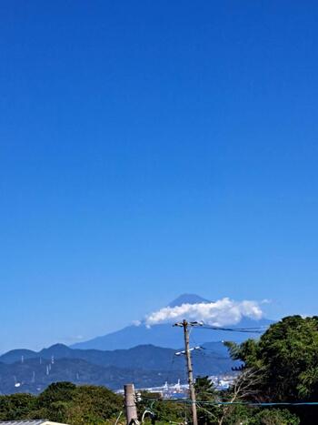IMG_6758.jpeg