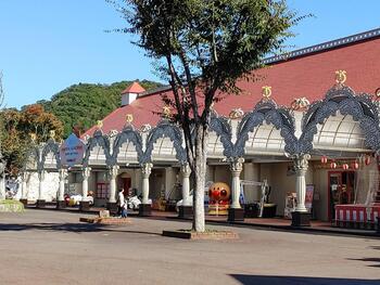 IMG_6816.jpeg