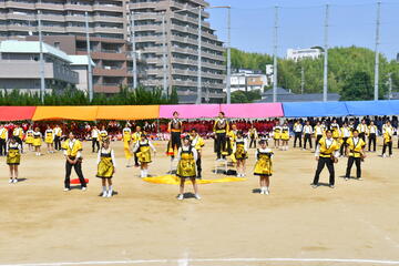 黄-4097.JPG