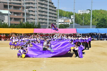 紫-4241.JPG
