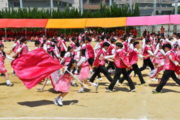 桃-4557.JPG